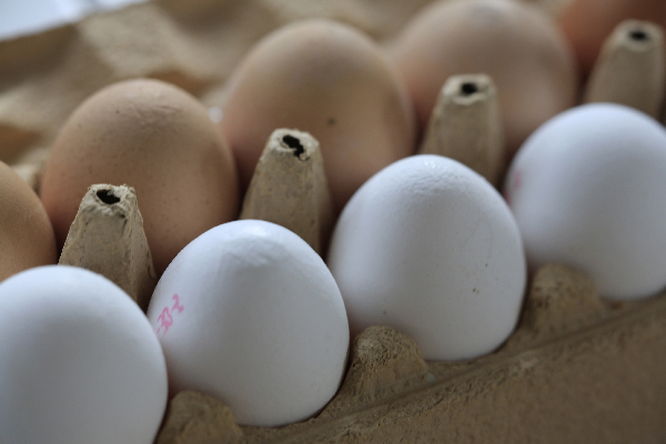 Méfiez-vous des œufs en vente sur le marché !